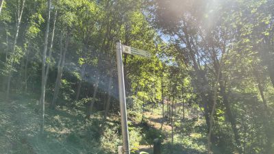 orig_IMG_20260627_155104838_HDR.jpg