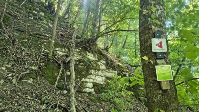 orig_IMG_20260627_160033285_HDR.jpg