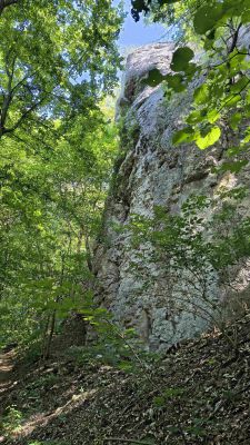 orig_IMG_20260627_161314579_HDR.jpg