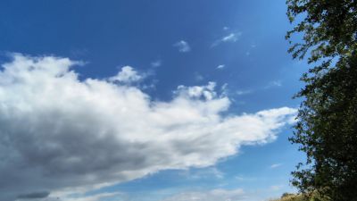 orig_IMG_20260705_114544531_HDR.jpg