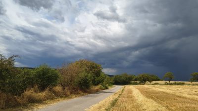 orig_IMG_20260705_150137003_HDR.jpg