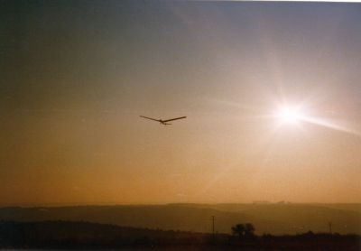 orig_053ASW17Katharinenlinde.jpg