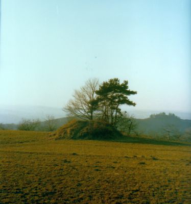 orig_054Katharinenlinde_1.jpg