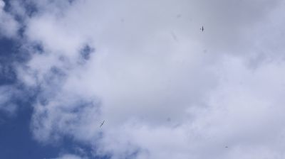 IMG_0343.JPG