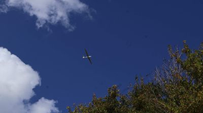 IMG_0420.JPG