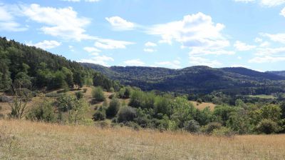 IMG_0894.JPG