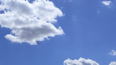 IMG_0890.JPG