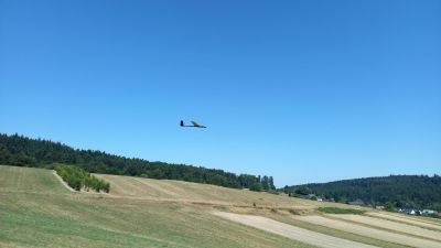 orig_20260711_123246~0.jpg