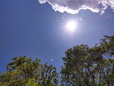 orig_IMG_20200524_133002216_HDR.jpg