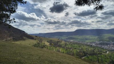 orig_IMG_20260403_150227544_HDR.jpg