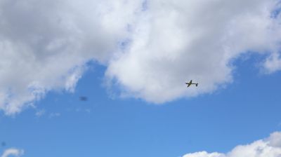 orig_IMG_0293.JPG